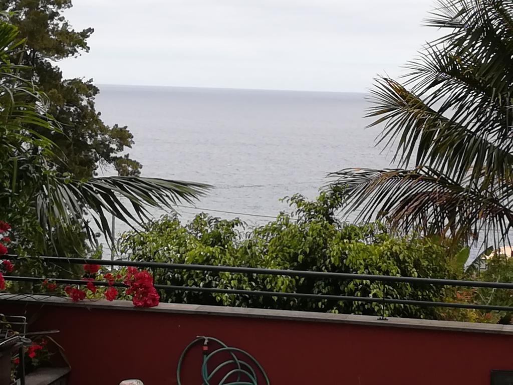 Villa Formosa Funchal  Ngoại thất bức ảnh